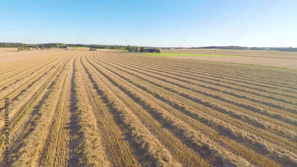 Flying over organic grain fields after harvest on a farm Flying over organic grain fields after harvest on a farm