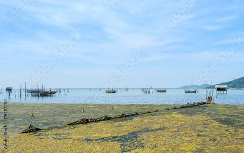 Algal bloom in a tropical ocean and marine fish farming  Thailand