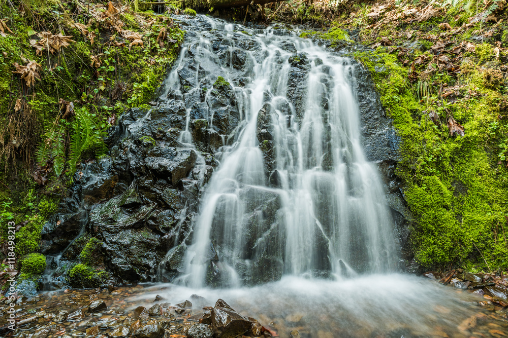 Obraz premium Small wide bridal veil waterfall with mossy rocks and smooth flowing water in Oregon