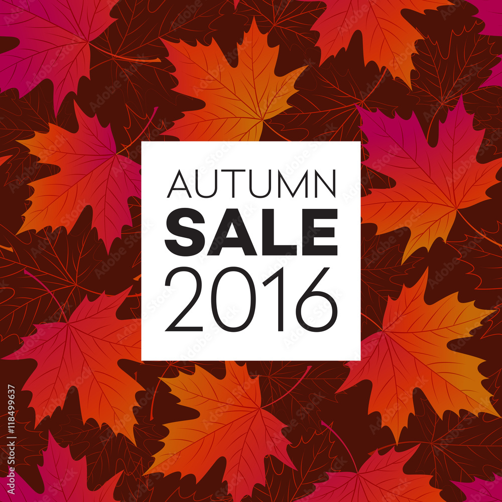 Autumn seasonal banner design. Fall leaf. Vector illustration Autumn seasonal banner design. Fall leaf. Vector illustration