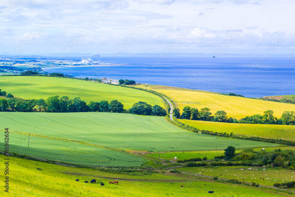Scottish summer landscape, East Lothians, Scotland, UK