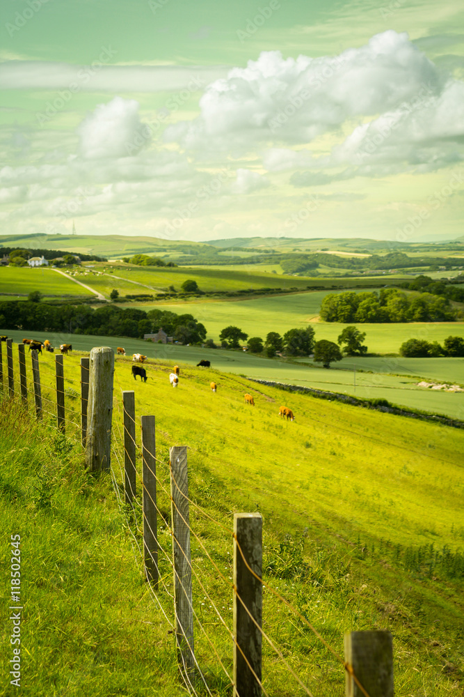 Scottish summer landscape, East Lothians, Scotland, UK