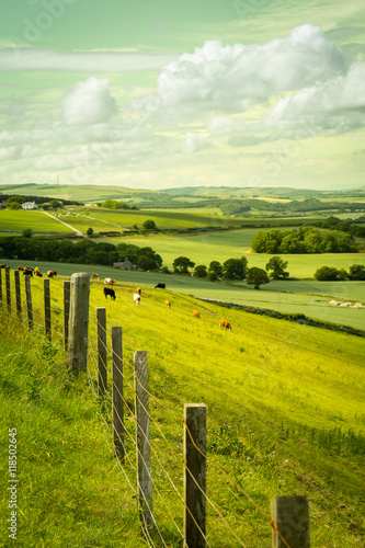 Obraz na płótnie Scottish summer landscape, East Lothians, Scotland, UK w salonie