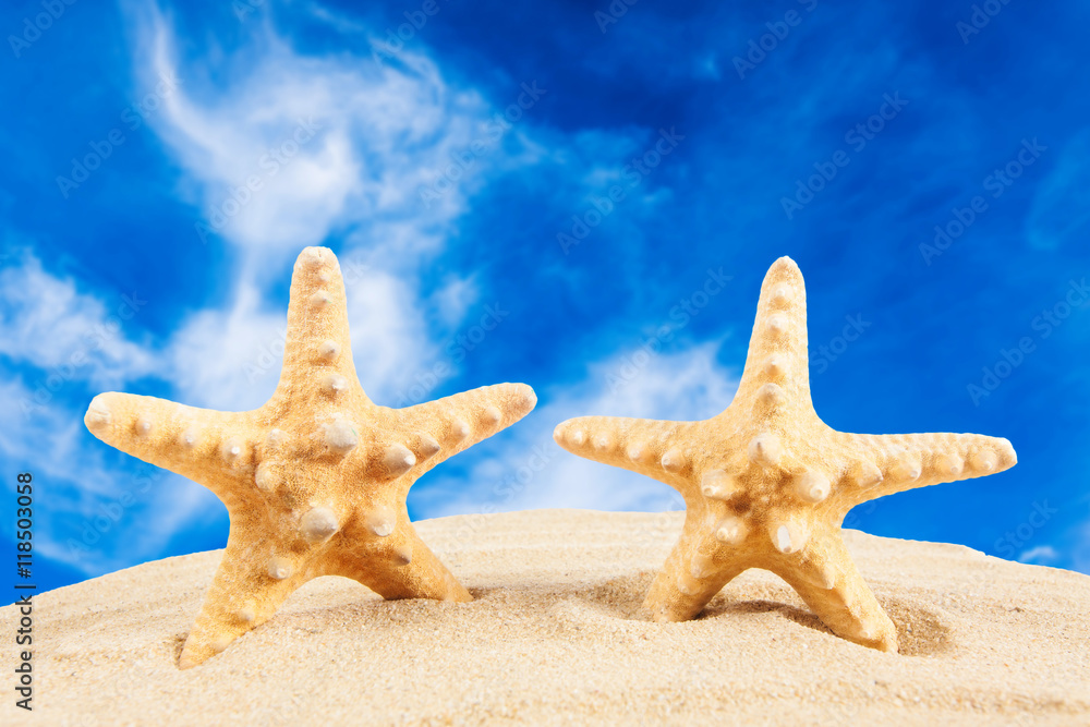 Summer background. Beauty summer background for summer time .Sta Summer background. Beauty summer background for summer time .Sta