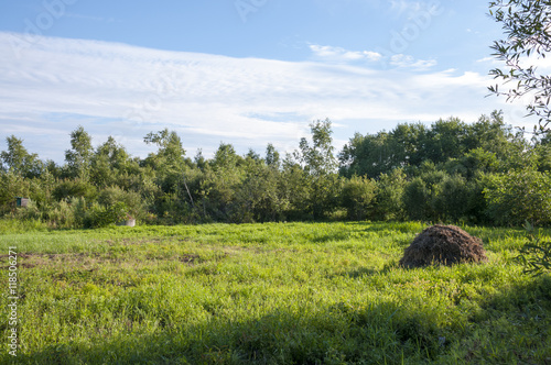 Summer landscape with field haystack