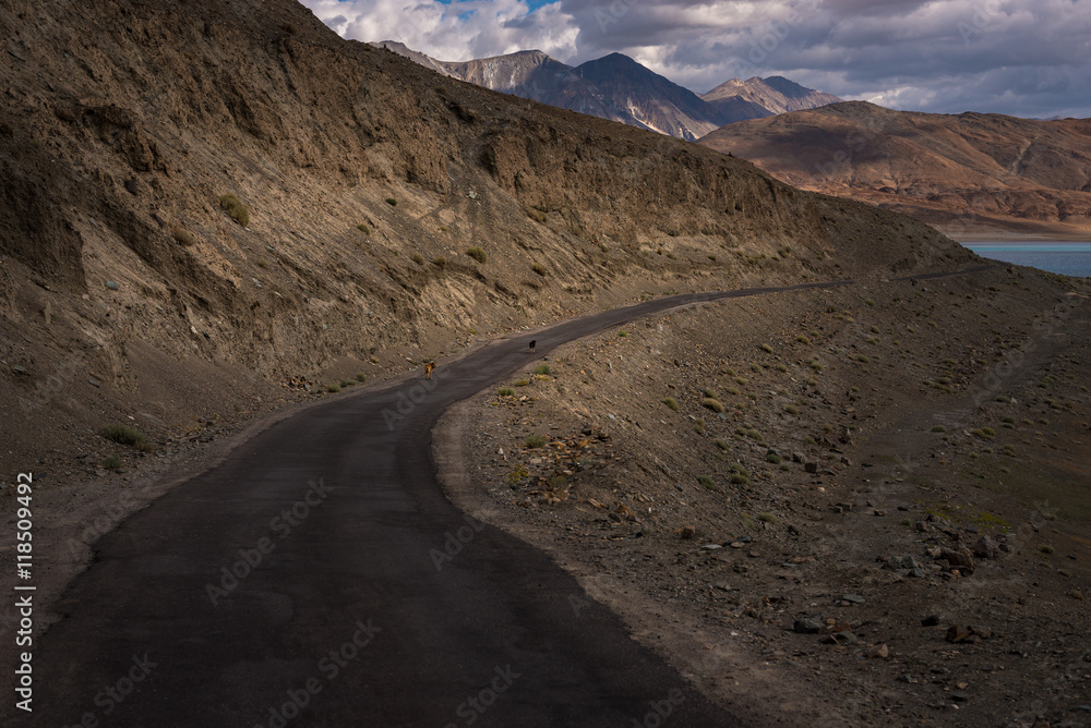 Road closed to Pangong tso (Lake). It is huge lake in Ladakh, altitude 14,270 ft, in Jammu,Kashmir, Leh district, Ladakh, India. Road closed to Pangong tso (Lake). It is huge lake in Ladakh, altitude 14,270 ft, in Jammu,Kashmir, Leh district, Ladakh, India.