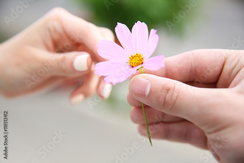 Flower and human hands on blurred background