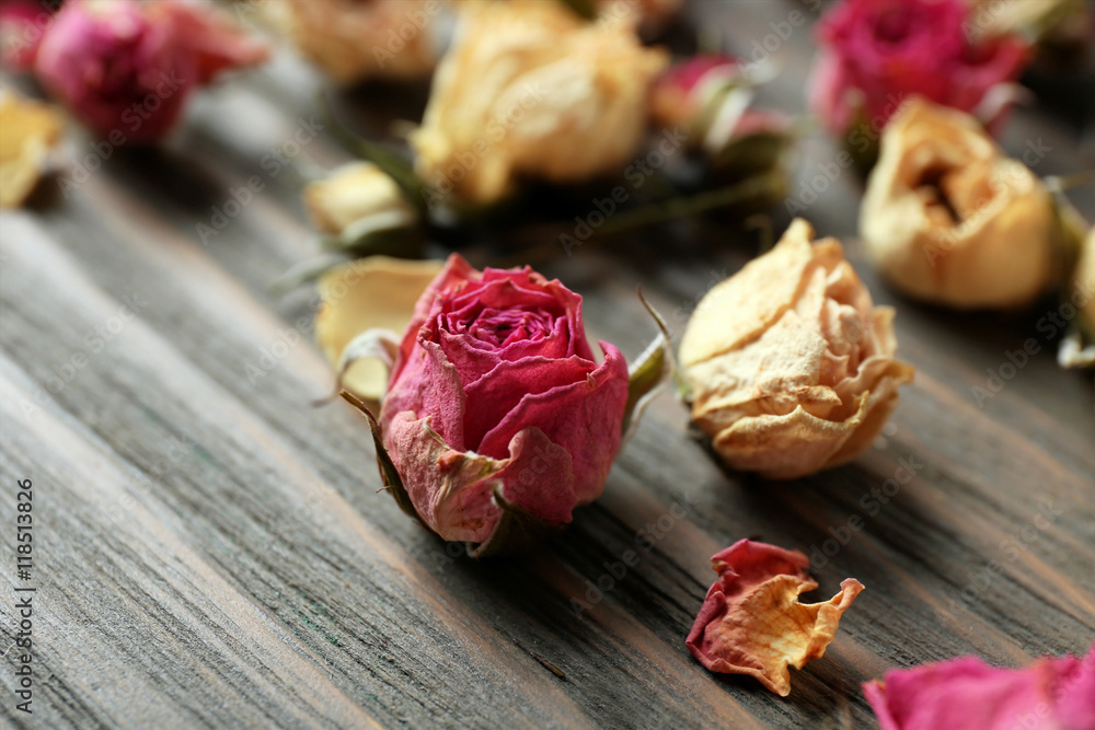 Dried rose buds, closeup