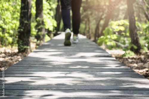 Wallpaper Mural Woman Hiking Trail on Wooden pathway Outdoor Travel adventure Torontodigital.ca
