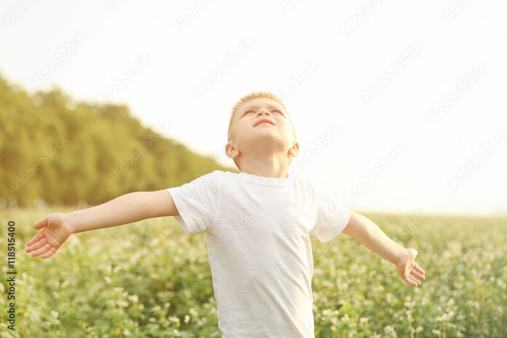 Happy little boy in the field