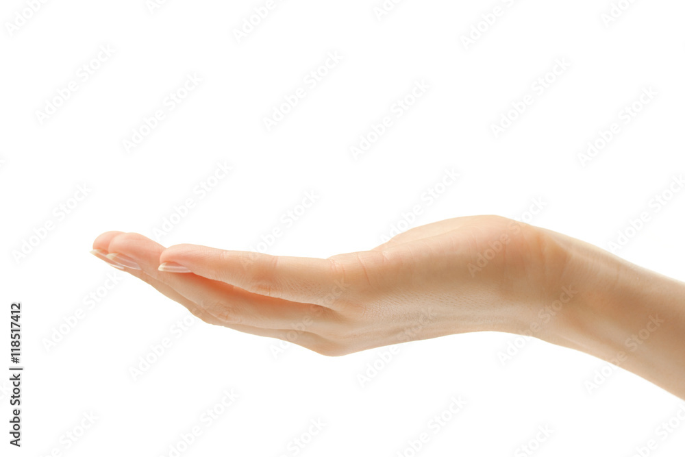 Female hand on white background Female hand on white background