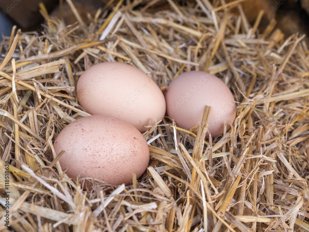 Close-up brown chicken eggs on a bed of straw