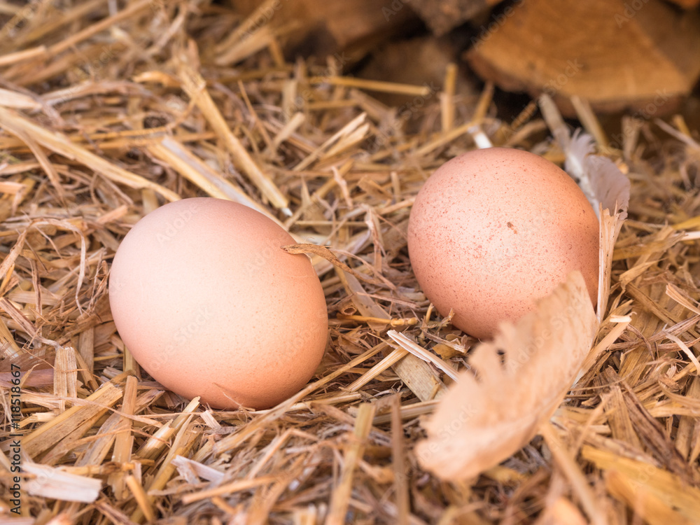 Close-up brown chicken eggs on a bed of straw Close-up brown chicken eggs on a bed of straw