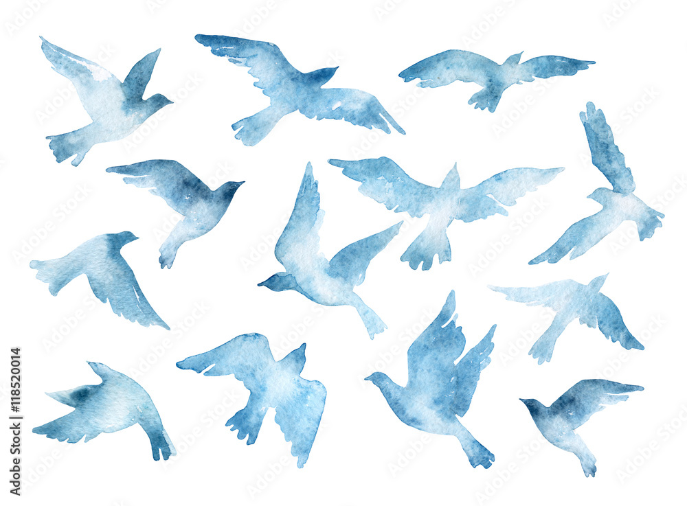 Fototapeta Latające ptaki sylwetki z akwarela tekstury na białym tle