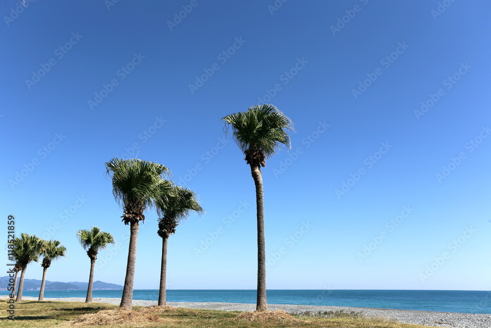 Obraz premium 七里御浜海岸