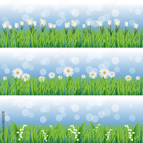 Set of grass with flower backgrounds. Tulips, daisies and lilies.