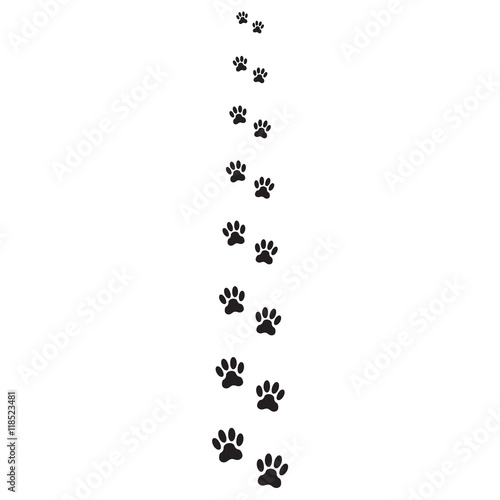 Animals pawprints or footprints isolated on white background. Animal paw icon or sign. Vector illustration.