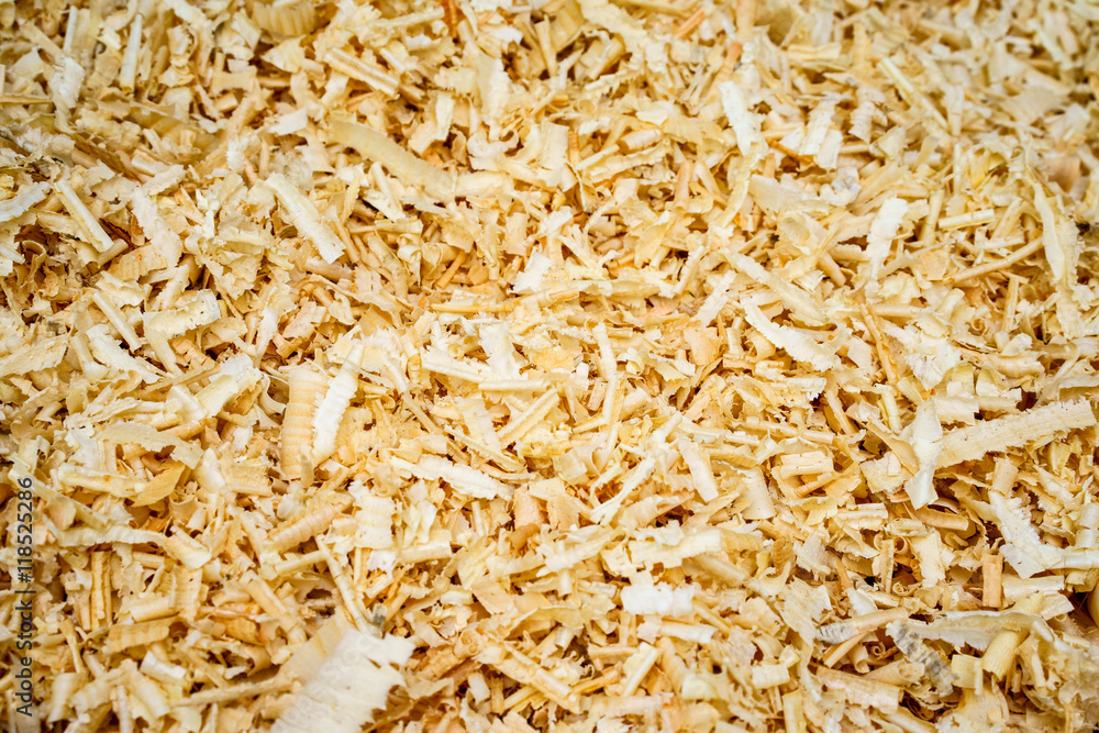 Close-up of pile of wooden chips