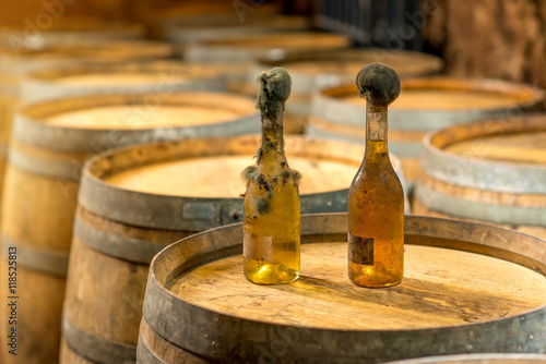Принти на полотні Old bottles of white wine with famous black mold in a wine cellar in Hungary