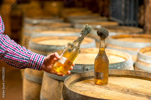 Holding old bottle of white wine with famous black mold in a wine cellar in Hungary photo