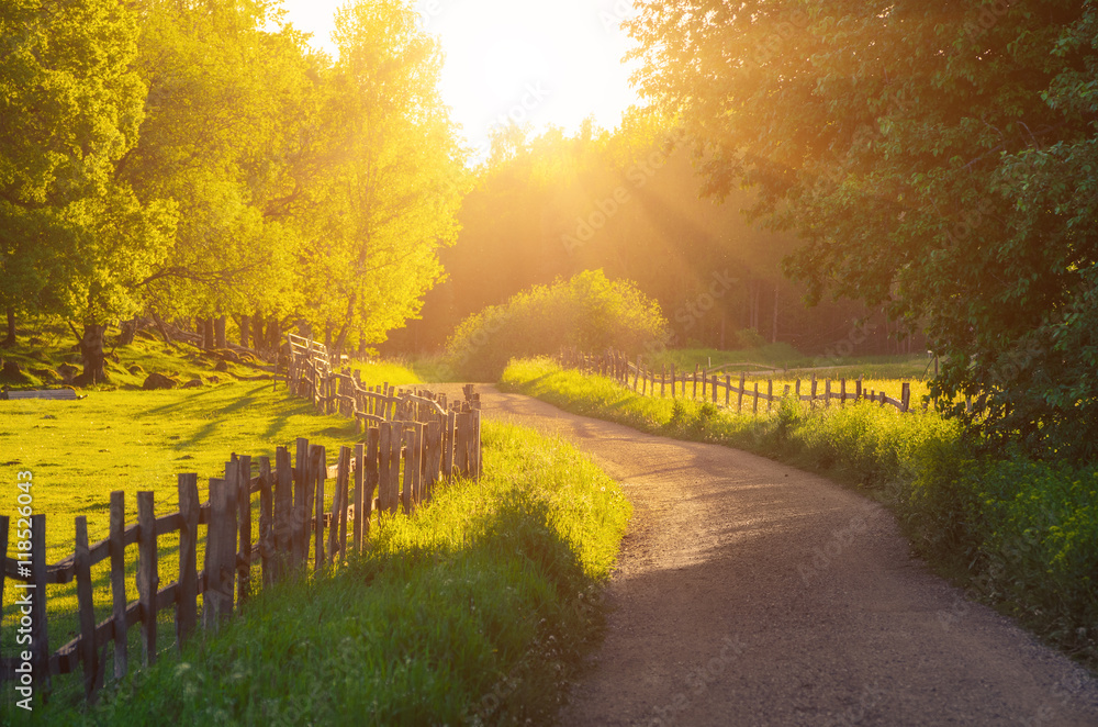 Obraz premium Rural Sweden summer sunny landscape with road, green trees and wooden fence. Adventure scandinavian hipster concept