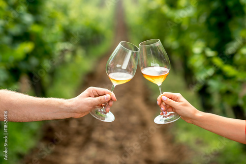 Two hands holding glasses with white wine on the vineyard background