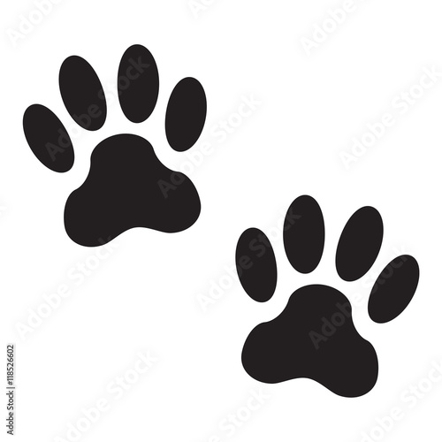 Animal pawprints or footprints isolated on white background. Animal paw print icon. Vector illustration.