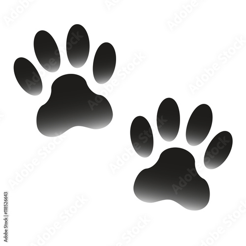 Paw prints of animal isolated on white background. Pawprints icon or sign. Vector illustration.