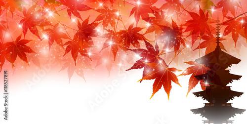 紅葉　秋　風景　背景