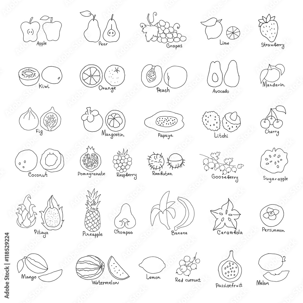 Vector set of hand drawn ink fruit and berries icons. Vector set of hand drawn ink fruit and berries icons.