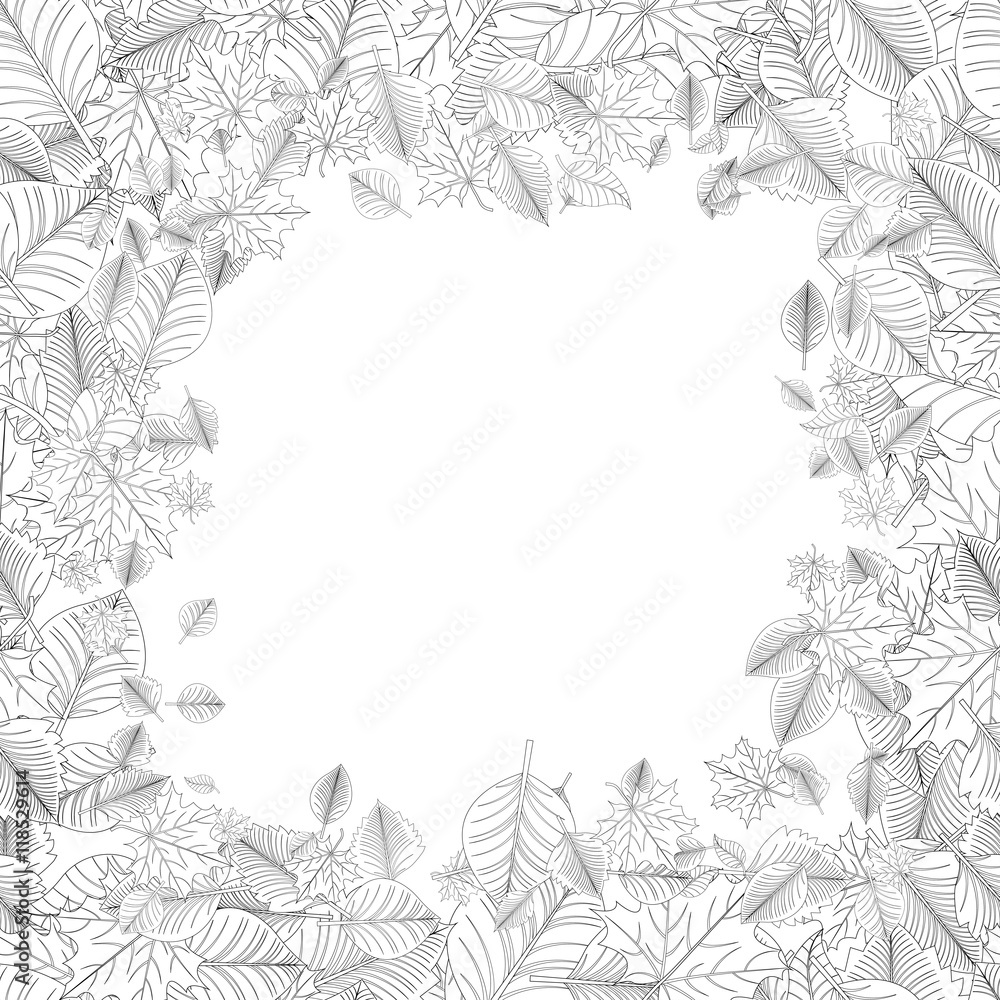 Fototapeta premium Leaves Background