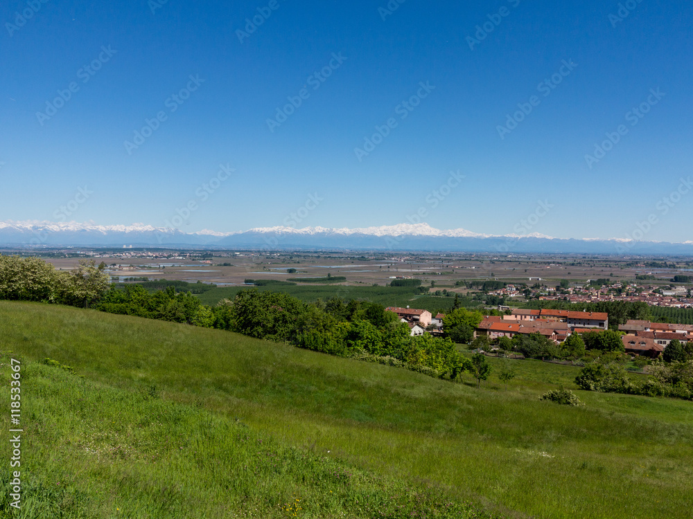 Fototapeta premium Pianure del Monferrato