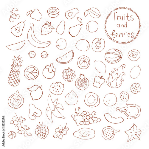 Doodle set of different cut fruits and berries. Healthy food. 