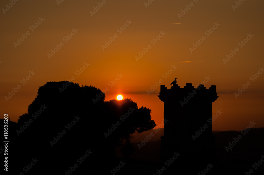 Obraz premium Силуэт птицы на башне на фоне заходящего солнца