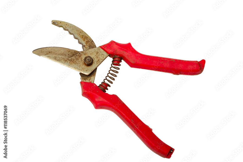 Red old garden secateurs isolated on a white background Red old garden secateurs isolated on a white background