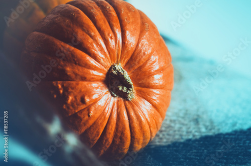 Close up orange pumpkin on blue background. Fall wallpaper, autumn symbol. Thanksgiving Day concept. Still life vegetables. Halloween holiday. Card, text place, copyspace.