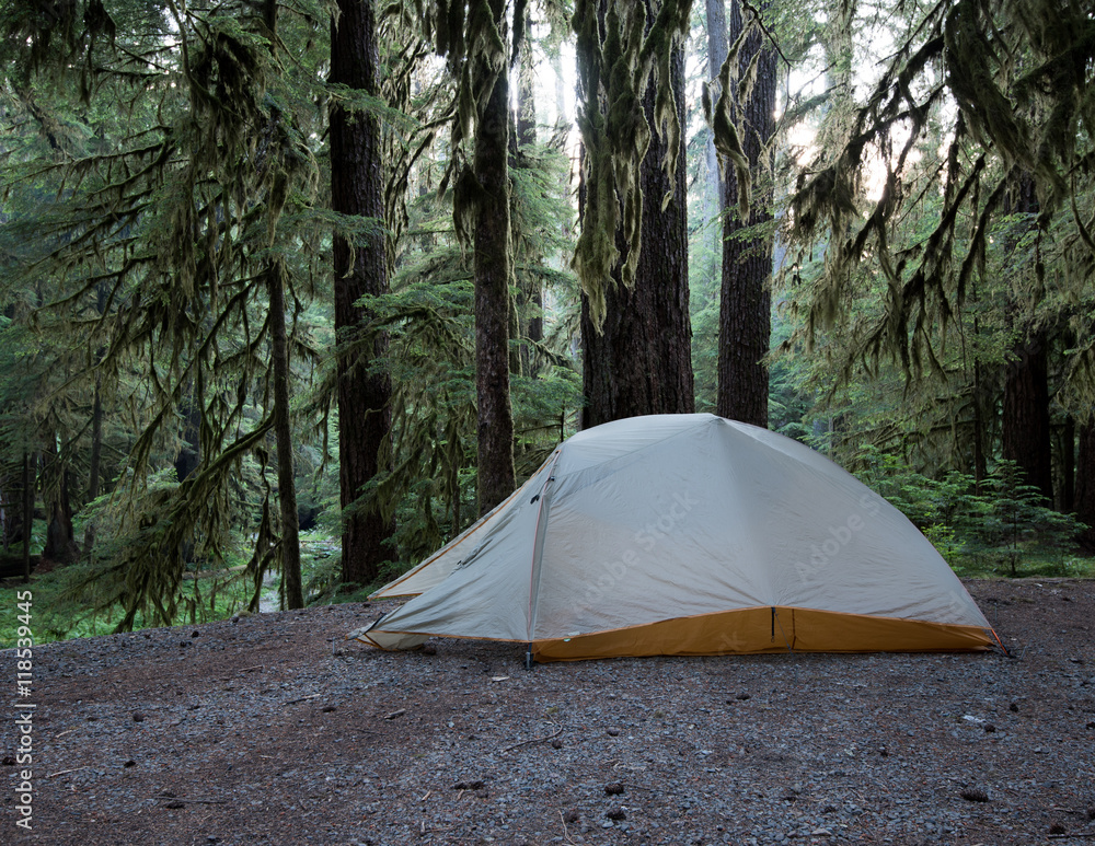 A Tent in the Rain Forest