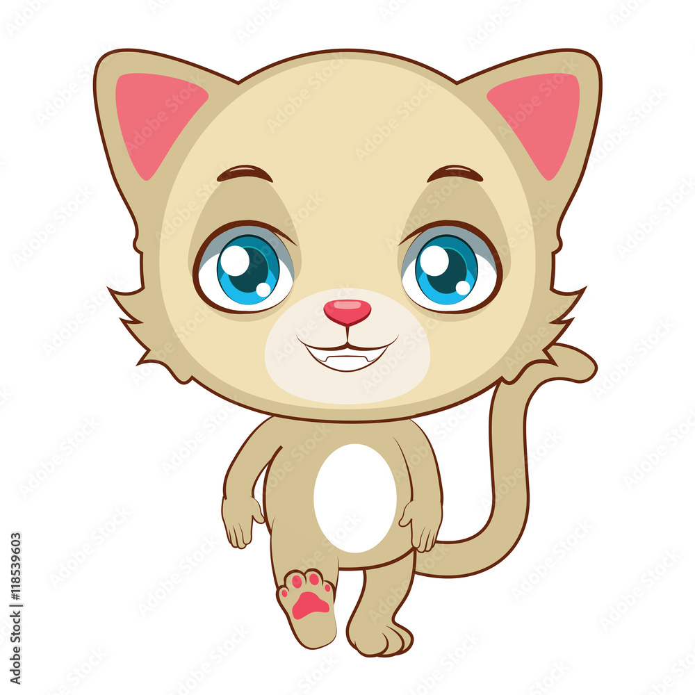 Cute yellow cat walking Cute yellow cat walking