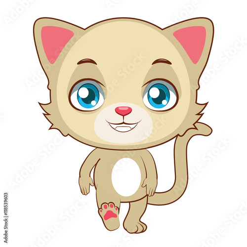 Cute yellow cat walking