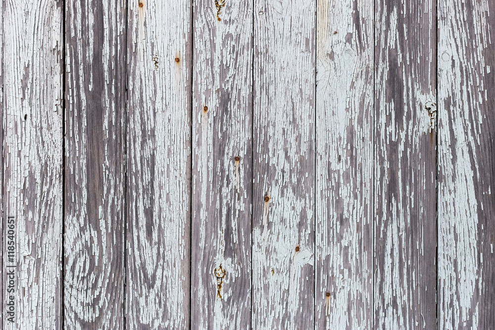 Fototapeta premium The white wood texture with natural patterns background