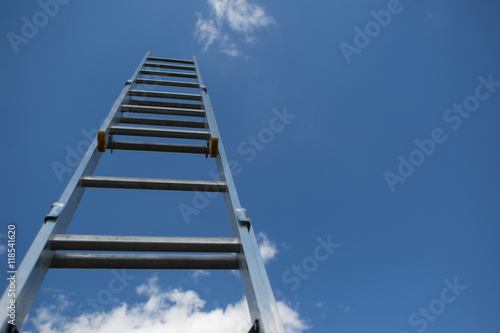 Ladder to sky  Ladder of success