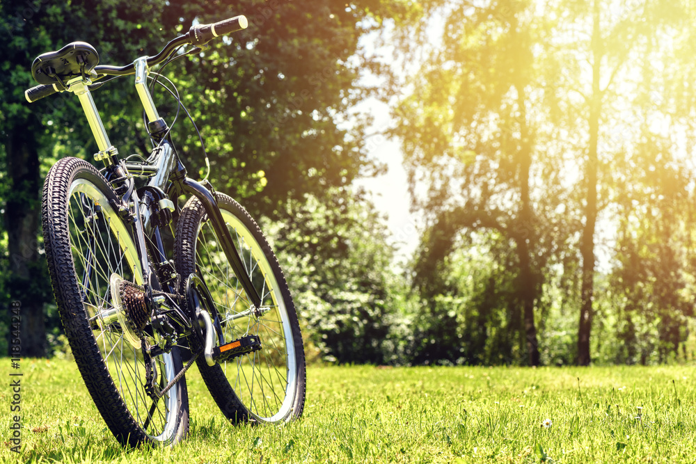 Summer landscape with sport bike on green field. Health concept 