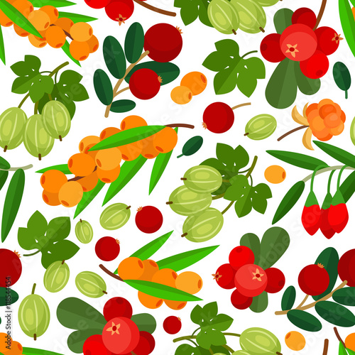 Seamless pattern with branches of yellow sea buckthorn, lingonberries, cranberries and gooseberries