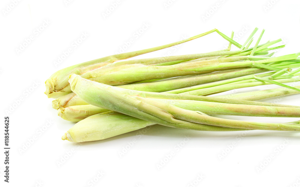 Fresh Lemongrass isolated on white background Fresh Lemongrass isolated on white background