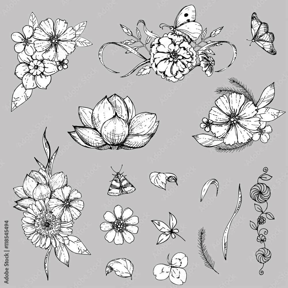 hand drawn set ink floral ornament with flowers cosmos, gebera, lotus and elements: butterfly, leaves, grass, flowers . vector eps 8