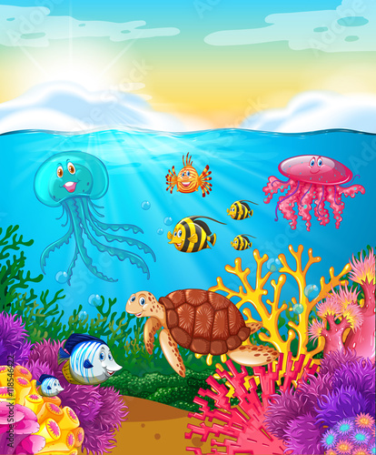 Photography Sea animals swimming under the ocean