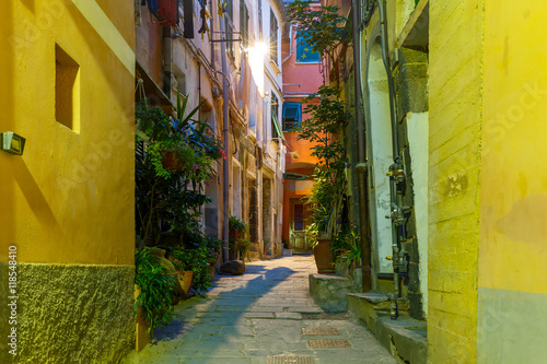 Narrow dark alley in the old town - typical Italian charming street decoration with plants and flowers at night in fishing village Vernazza, Five lands, Cinque Terre National Park, Liguria, Italy.