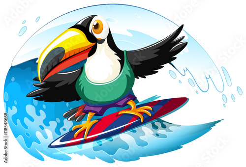 Photography Toucan on surfboard in the giant wave