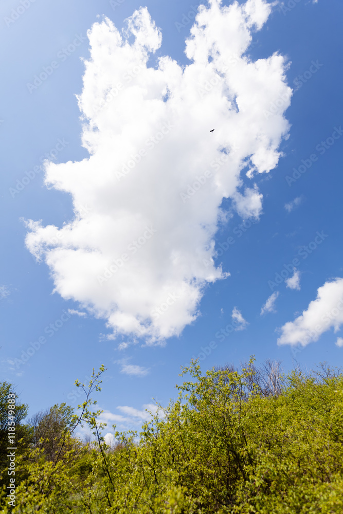 Clouds on the sky Clouds on the sky
