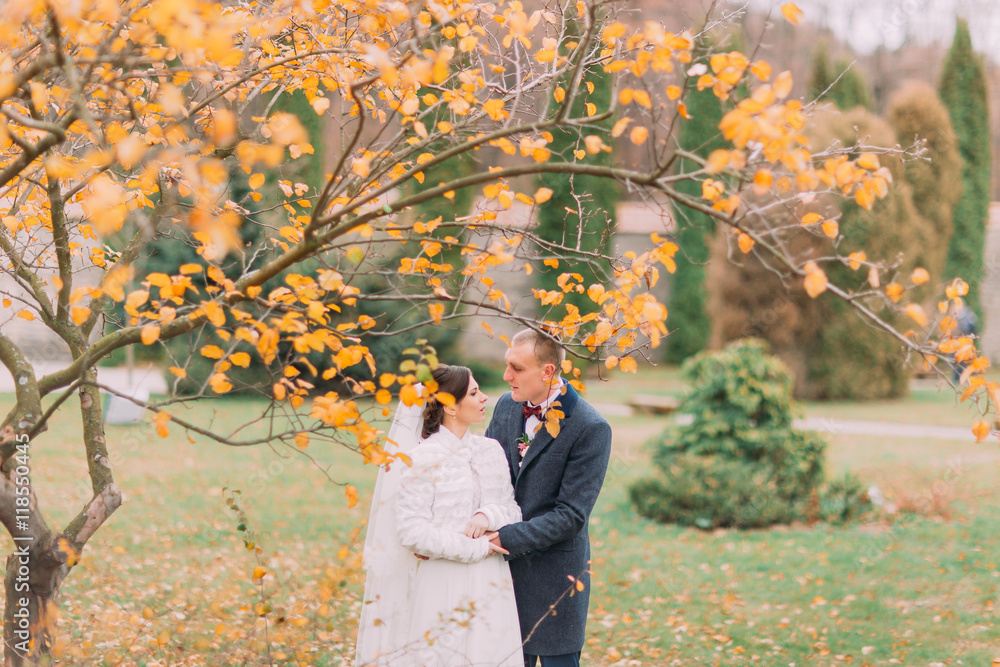 Charming newlywed couple embracing in the beautiful autumn park under tree with yellow leaves - obrazy, fototapety, plakaty 